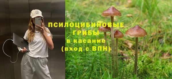 первитин Медногорск
