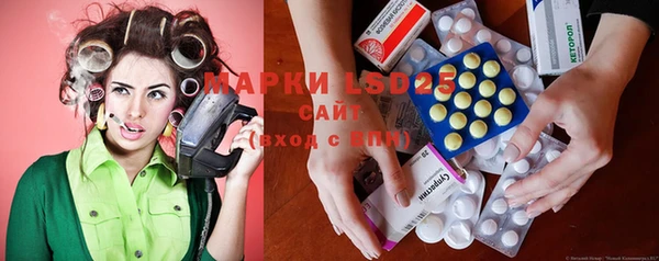 прущие грибы Михайловск