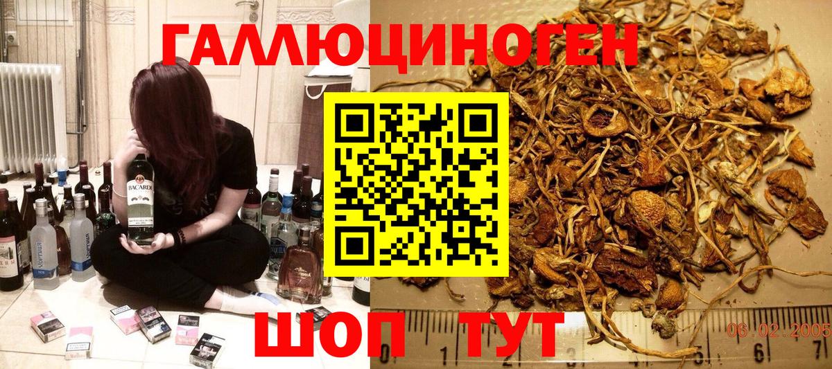 Псилоцибиновые грибы MAGIC MUSHROOMS  где можно купить   Тында  Псилоцибиновые грибы Magic Shrooms 