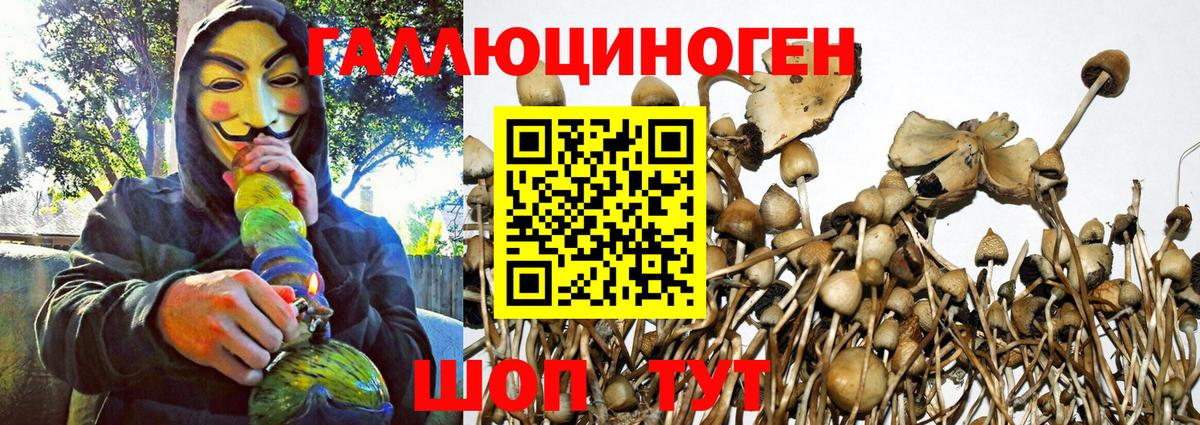 Галлюциногенные грибы прущие грибы Тында