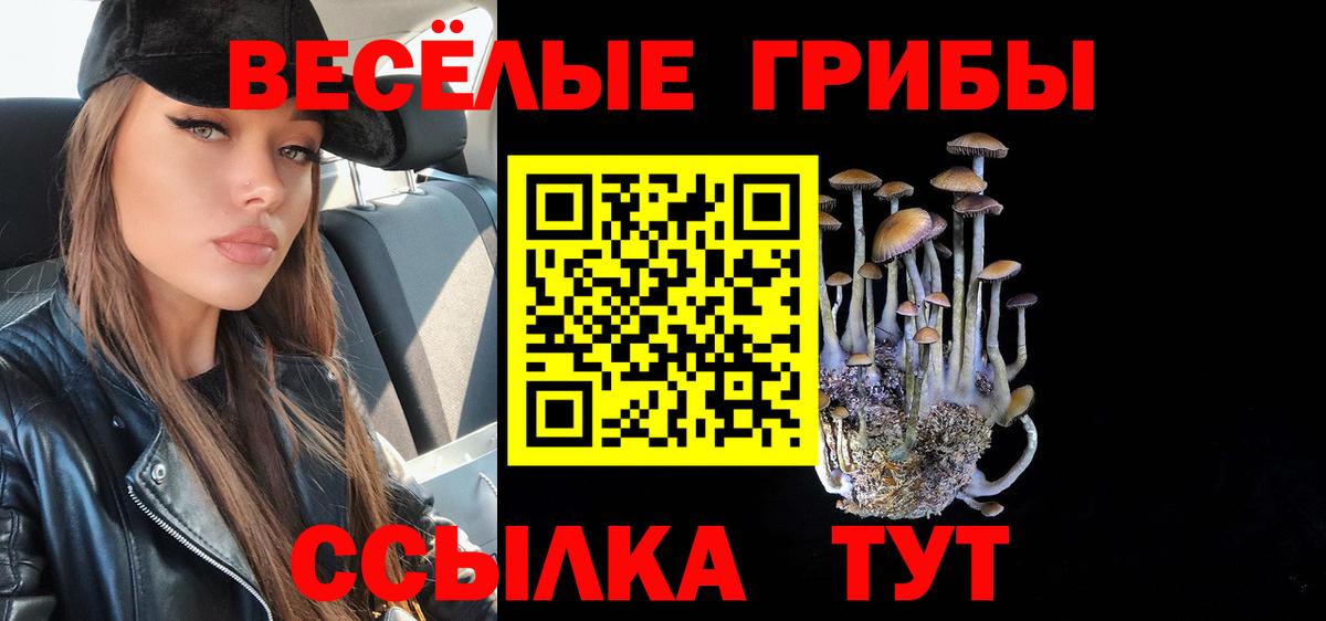 Тында  Галлюциногенные грибы Magic Shrooms  Вход с VPN  Псилоцибиновые грибы мицелий 